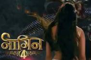 Naagin 4’s latest promo unveils its launch date! 