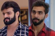 Fans will miss the love between Raman and Adi