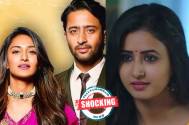 Kuch Rang Pyaar Ke Aise Bhi 3
