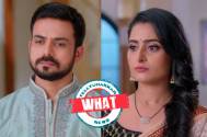 Samrat-Pakhi-what
