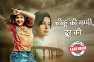 Chikoo-exl