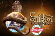  Naagin 6