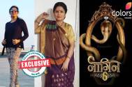 mansi-deb-nagin6