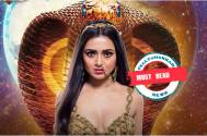 Must Read! Find out per day payouts of THESE TV celebs