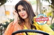 EXCLUSIVE! Pinjara - Khubsurti Ka fame Riya Sharma to play the lead role in Zee TV's Kashibai Bajirao Balal?
