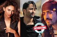 INTERESTING: Here is what Erica Fernandes has to say about Shaheer Sheikh getting into a look inspired by Johnny Depp’s famous c