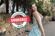 Adorable! Pandya store's Rishita aka Simran shocked her fans by sharing her throwback picture Anupamaa 