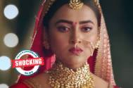 Shocking! Naagin 6: Pratha confesses her feelings for Ritesh despite getting married to Rishabh?