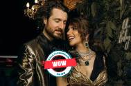 Wow! From Anurag Kashyap to Meet Bros. here's the guest list of Shama Sikander's wedding! Details Inside!