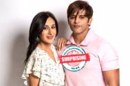 Surprising! THIS is the reason Karanvir Bohra and Teejay Sidhu want their children to go to a school in Canada