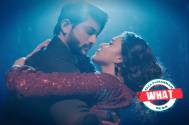 WHAT! IMLIE's Sumbul Touqeer Khan gives a new nickname for her costar Aryan aka Fahmaan Khan, Deet inside