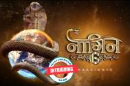 INTRIGUING! Meet the most professional star of Naagin 6 
