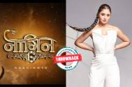 Throwback! Naagin 6 fame Rashami Desai's acting journey decoded!