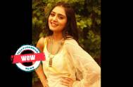 WOW! This is what Anjali Tatrari up to these days post wrapping up the shoot of Zee TV's Tere Bina Jiya Jaaye Na 