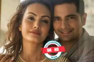 Oh NO! Nisha Rawal lands in trouble over her alleged relationship with Rohit Sathia