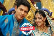 SURPRISING! This Bade Achhe Lagte Hain 2 was a part of Pratyusha Banerjee and Sidharth Shukla starrer show Balika Vadhu 