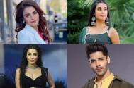 COLORS' family extent their greetings for Janmashtami