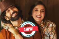 Nakuul Mehta and Jankee Parekh