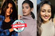 SURPRISING! Before Ulka Gupta, these television actresses rejected Banni Chow Home Delivery 