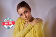 Oh NO! Malaika Arora faces public wrath for her appearance at Kareena Kapoor’s birthday party, see trolls