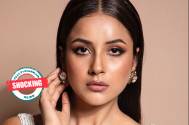 Shocking! Shehnaaz Gill gets mobbed by a fan as he tries to grab her shoulder while clicking a picture 