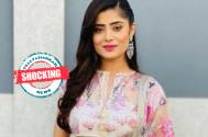 SHOCKING! Ex-boyfriend of actress Vaishali Takkar, Rahul Navlani arrested over harassment charges