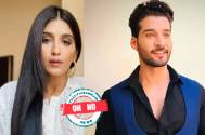 Bigg Boss 16: OH NO! Nimrit Kaur Alhuwalia and Gautam Vig have an altercation