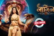 naagin
