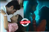 AUDIENCE PERSPECTIVE! Netizens call romance of Indian television shows unrealistic; express disappointment 