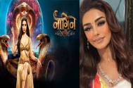 Mahekk Chahal celebrated her B’Day with the Cast of Naagin 6; check out what her ‘PERFECT’ birthday looked like