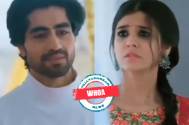 Akshara refuses Abhimanyu