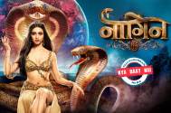 aunching Naagin Season 7?