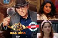BIGG BOSS SEASON 17