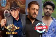 BIGG BOSS SEASON 17