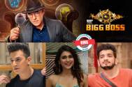 BIGG BOSS SEASON 17 