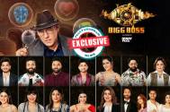 BIGG BOSS SEASON 17