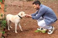 Shabir 
