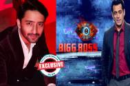 Shaheer 