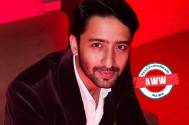 Shaheer 
