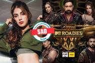 MTV Roadies