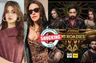 MTV Roadies