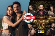 MTV Roadies