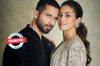 Shahid 