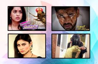 Regressive shows rule the TRP ladder- Experts from the industry analyze