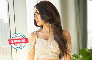 Glamorous! Erica Fernandes looks seraphic in this embroidered saree 