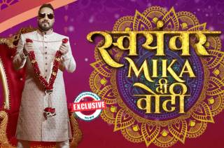 EXCLUSIVE! Everything you need to know about Star Bharat's Mika Di Vohti 