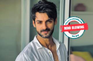 Karan Wahi