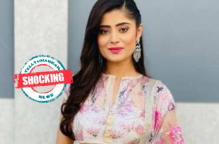 SHOCKING! Ex-boyfriend of actress Vaishali Takkar, Rahul Navlani arrested over harassment charges