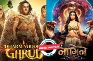 Audience Perspective: Why do supernatural shows like Garud and Naagin loose their charm after the first few weeks