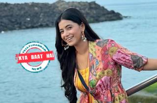 Alisha Parveen
